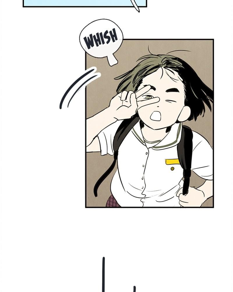 Page 233