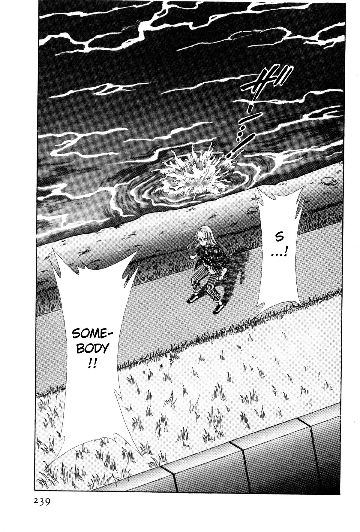 Page 233