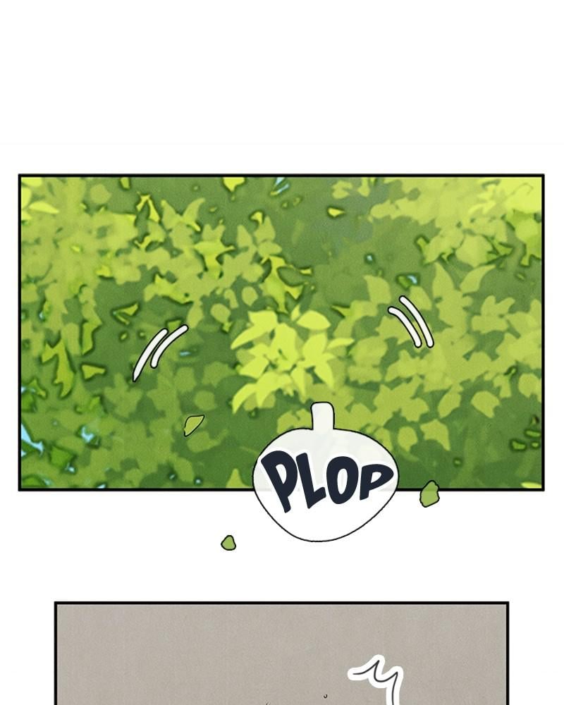 Page 237