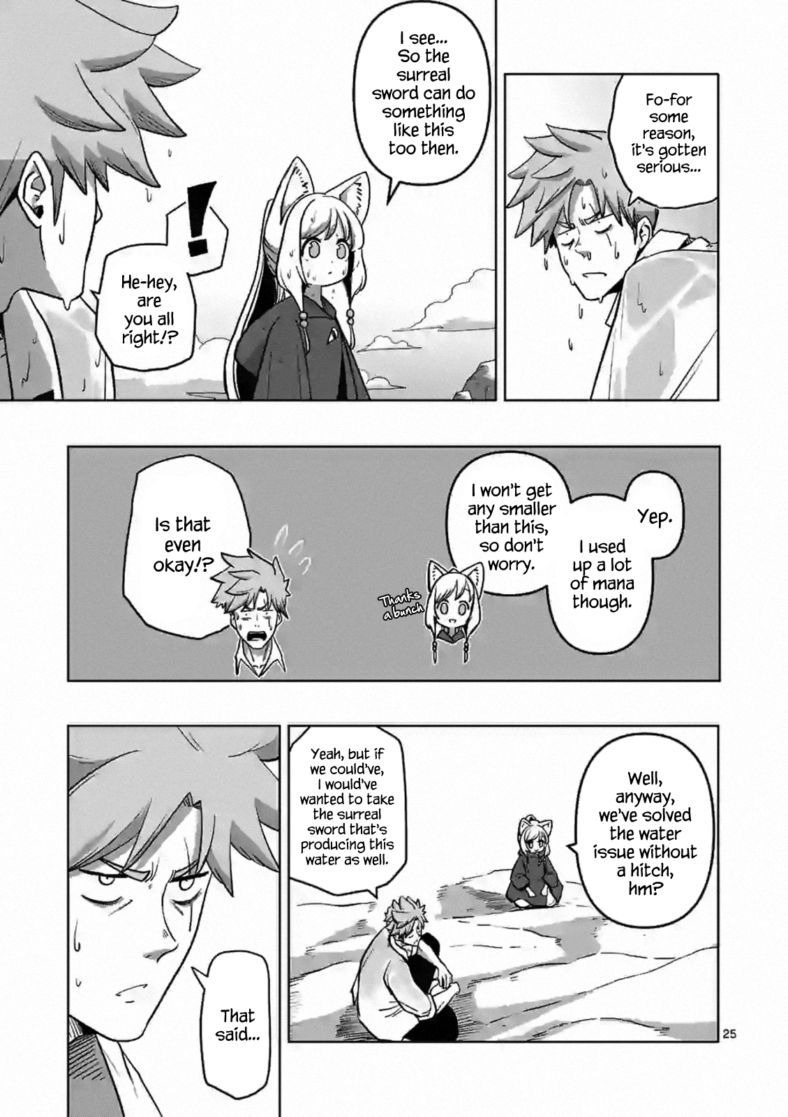 Page 25
