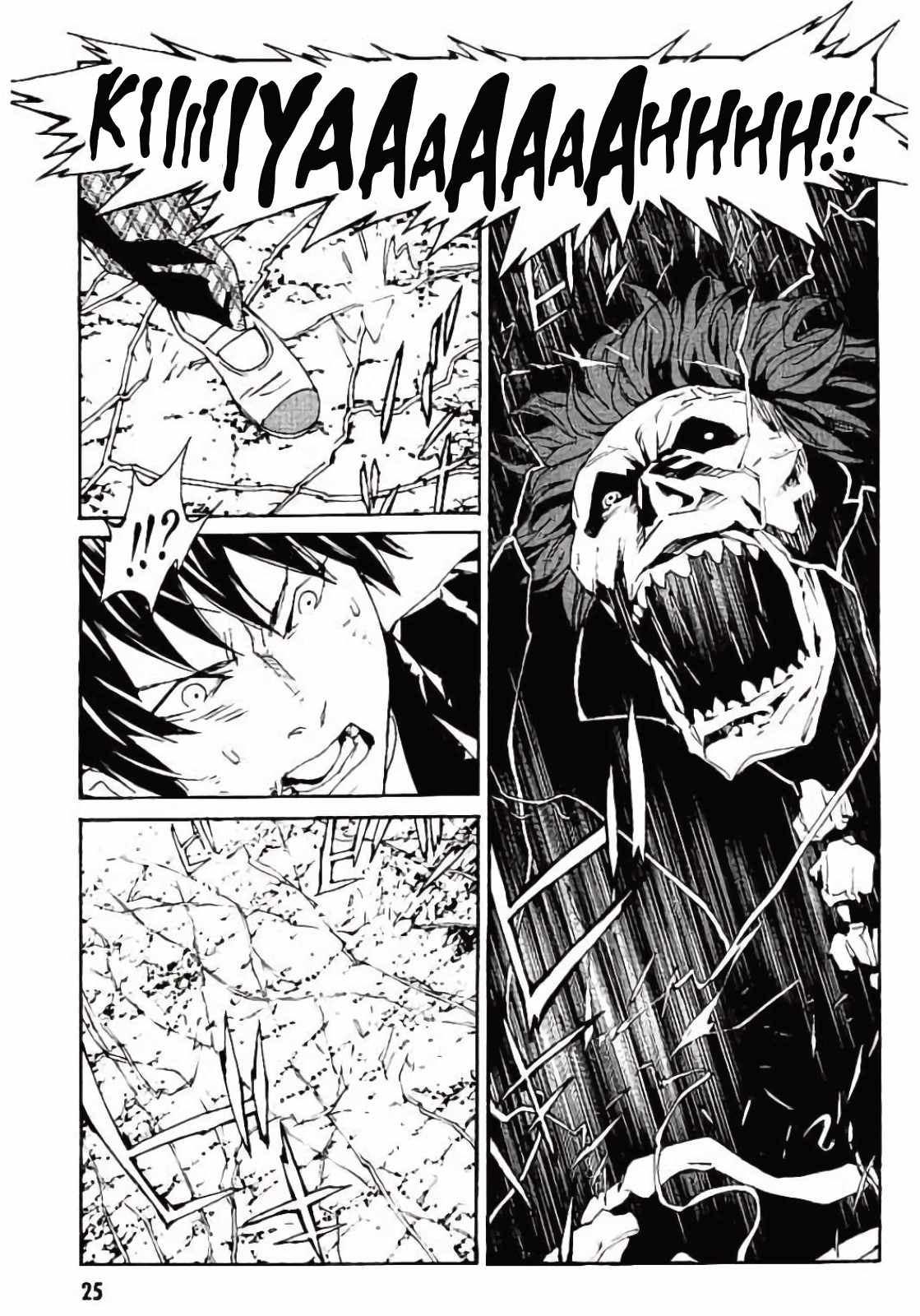 Page 25