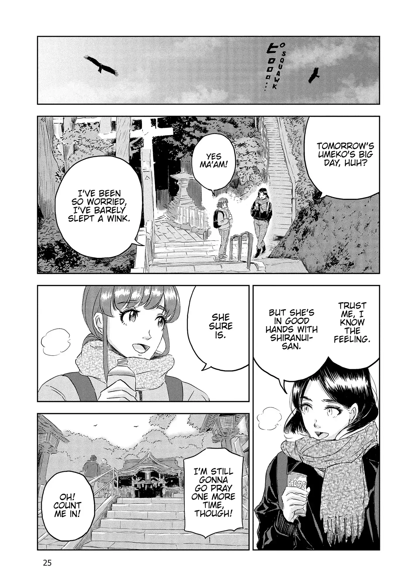 Page 25