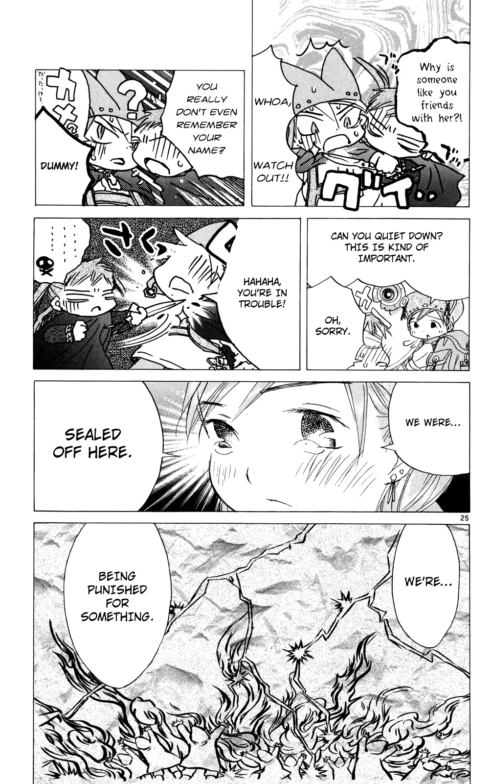 Page 25
