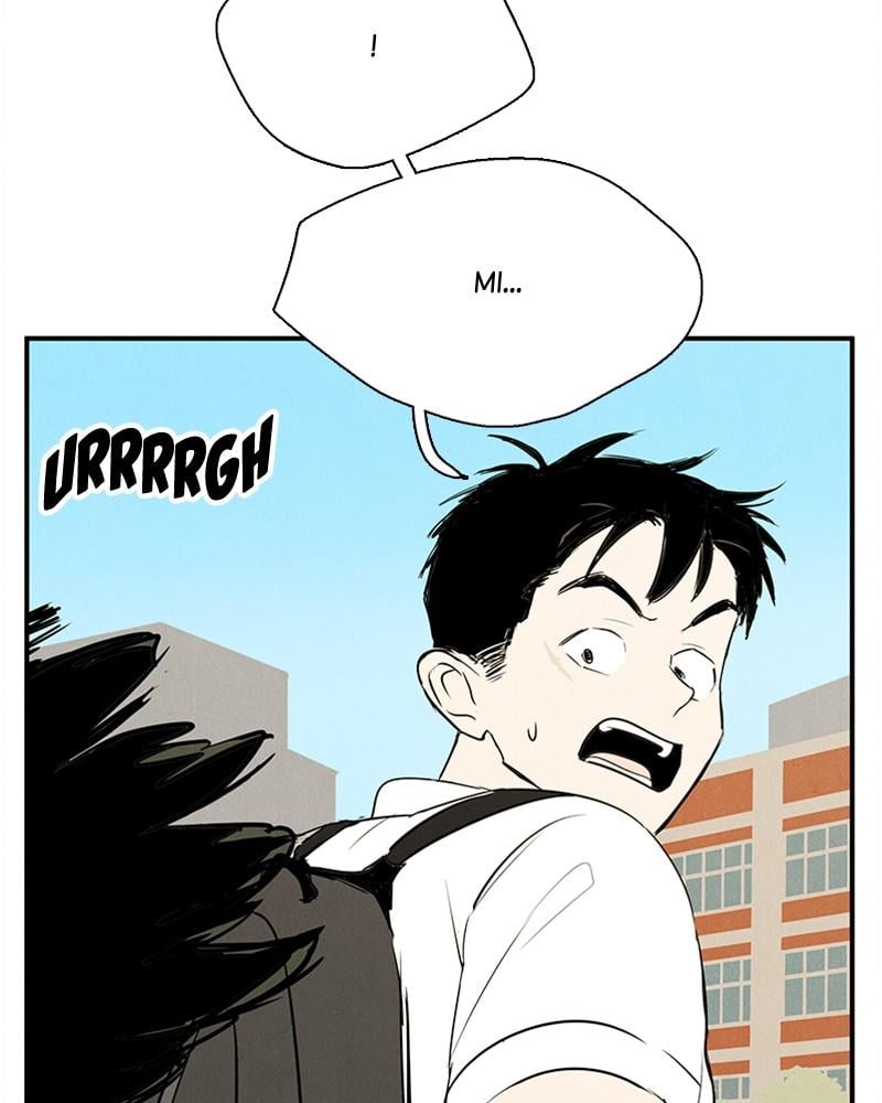 Page 241