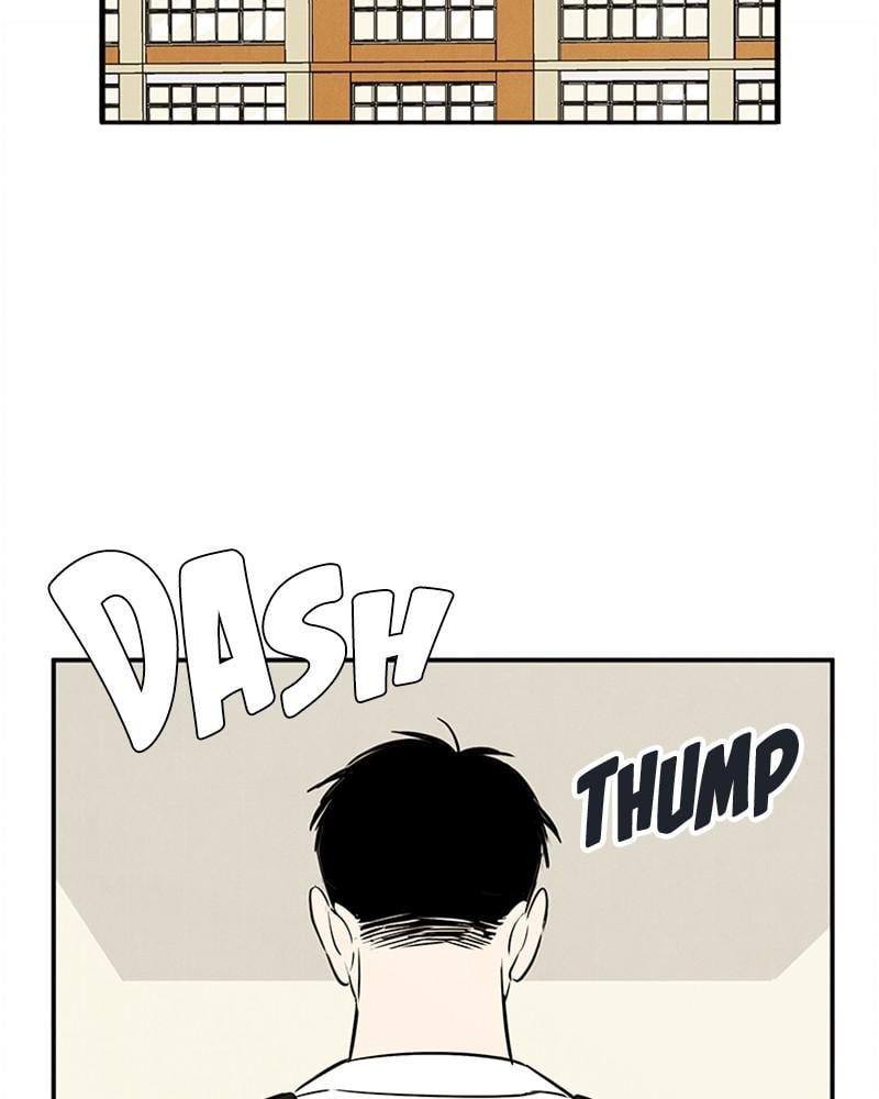 Page 241