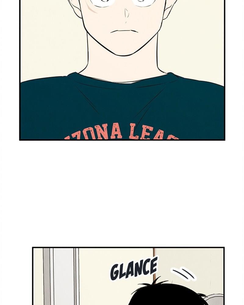 Page 242