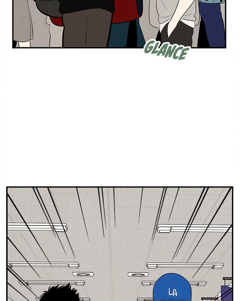 Page 242