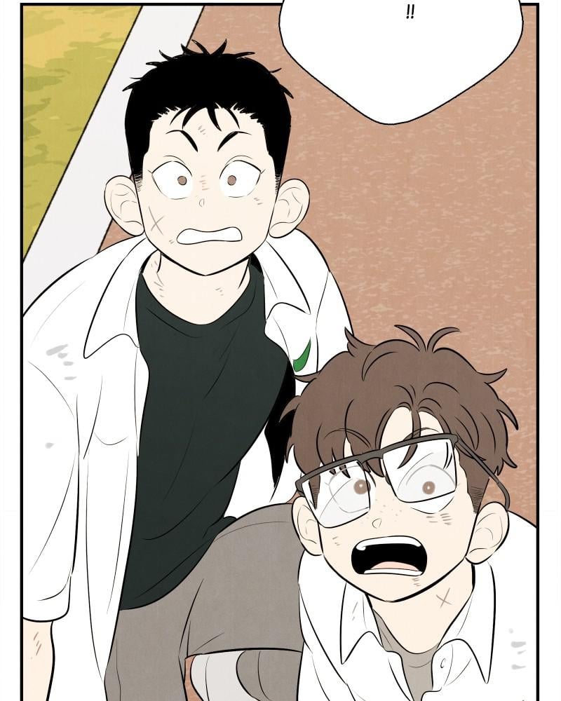 Page 242