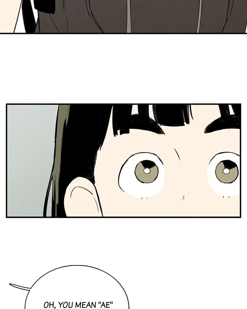 Page 243