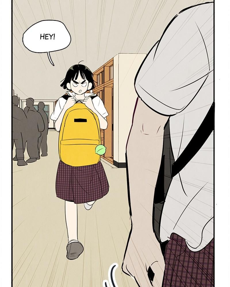 Page 243