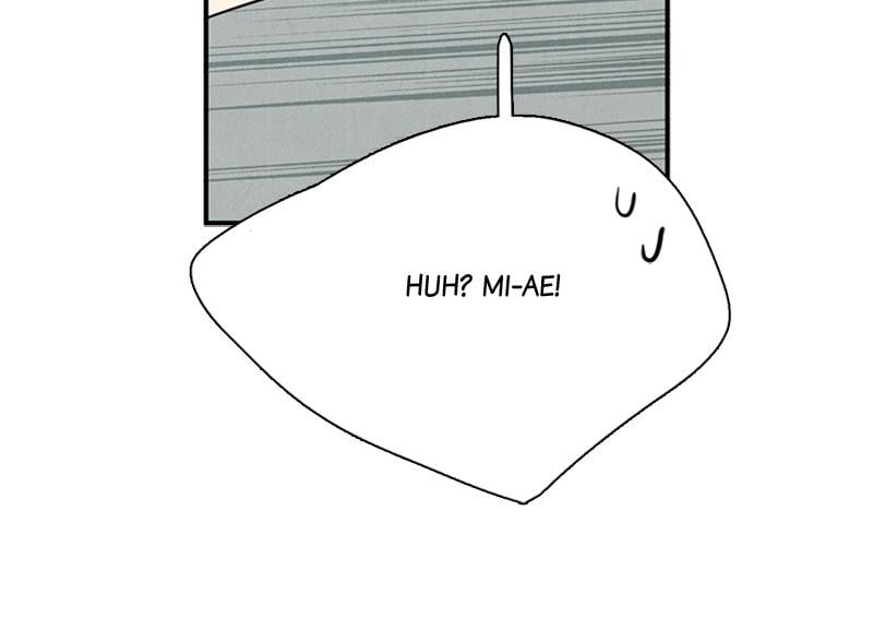 Page 243