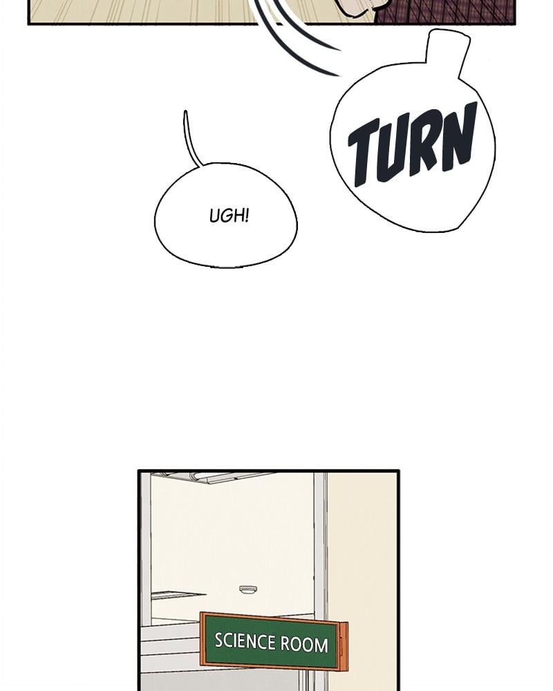 Page 244