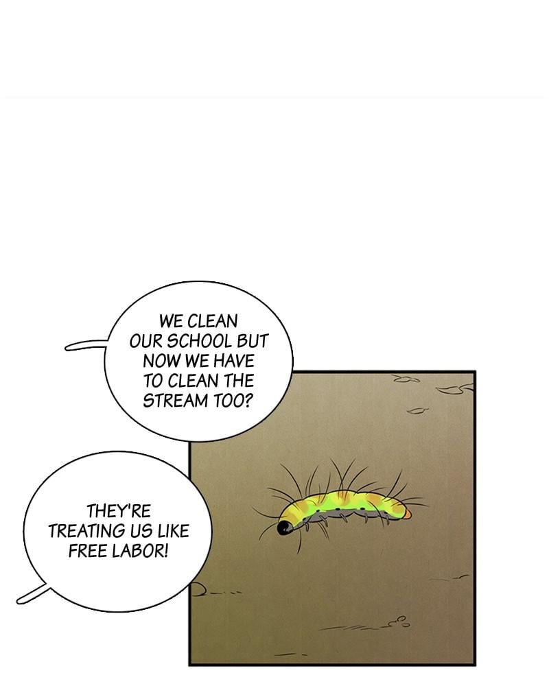 Page 244