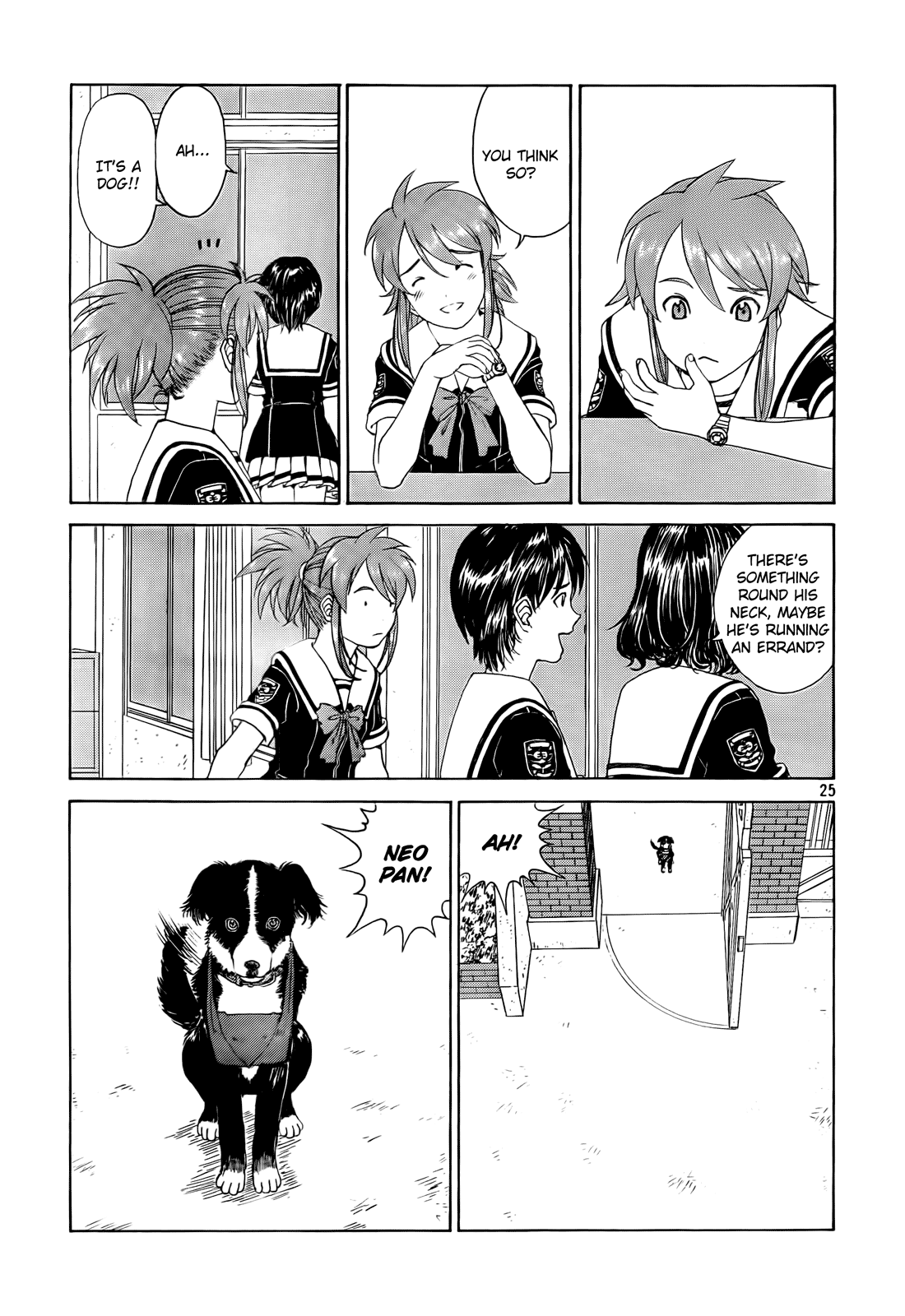 Page 25