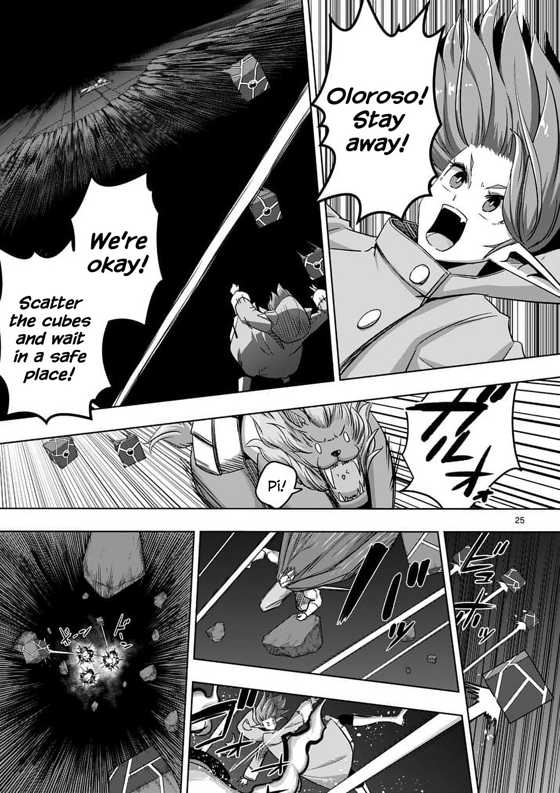 Page 25