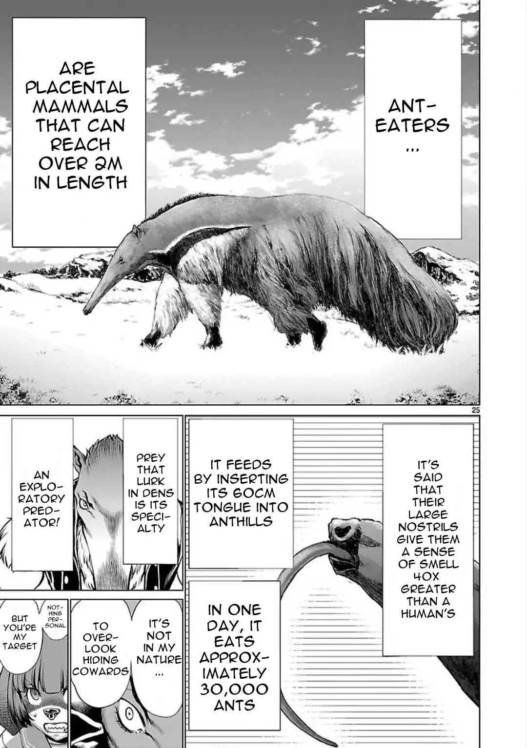 Page 25