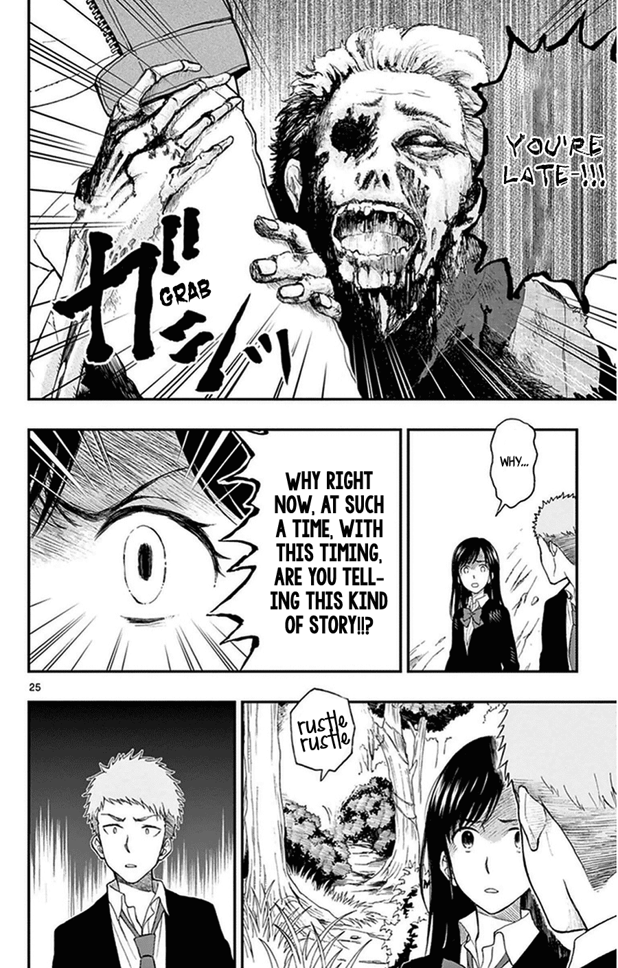 Page 25