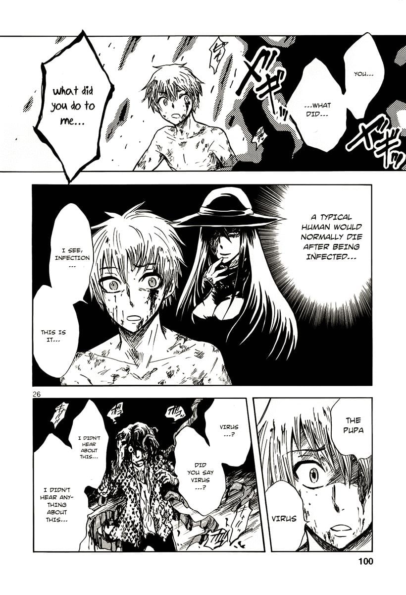 Page 26