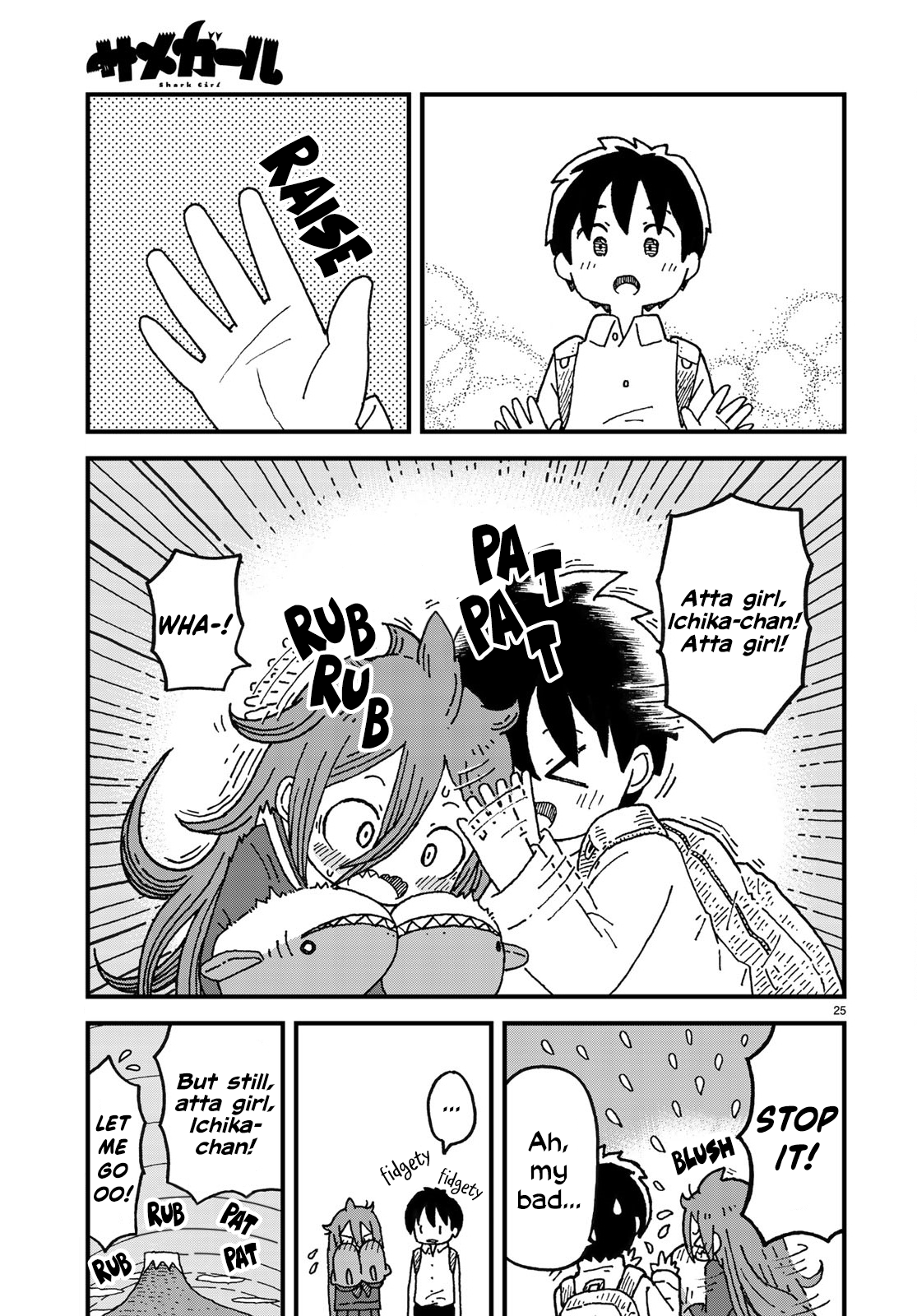 Page 25