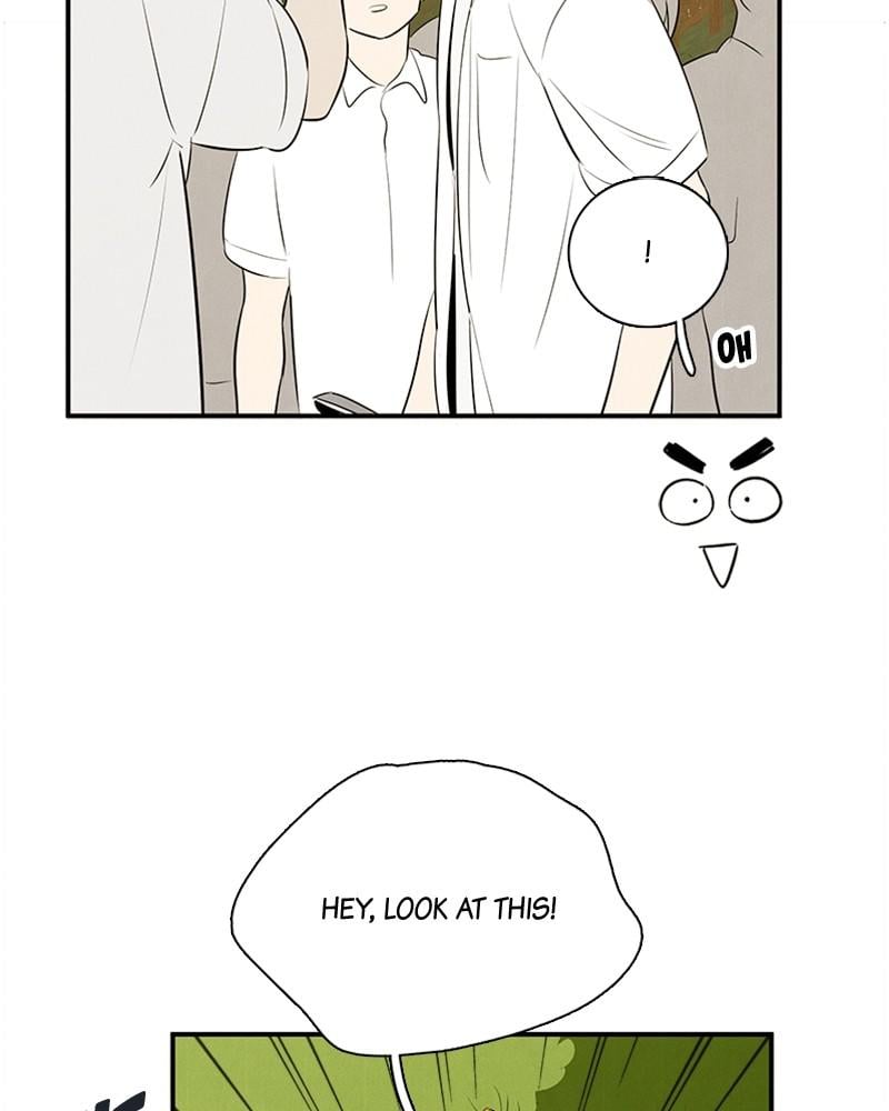 Page 251