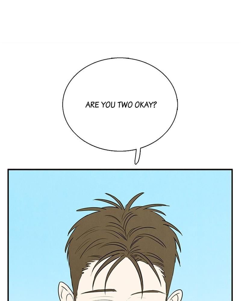 Page 251