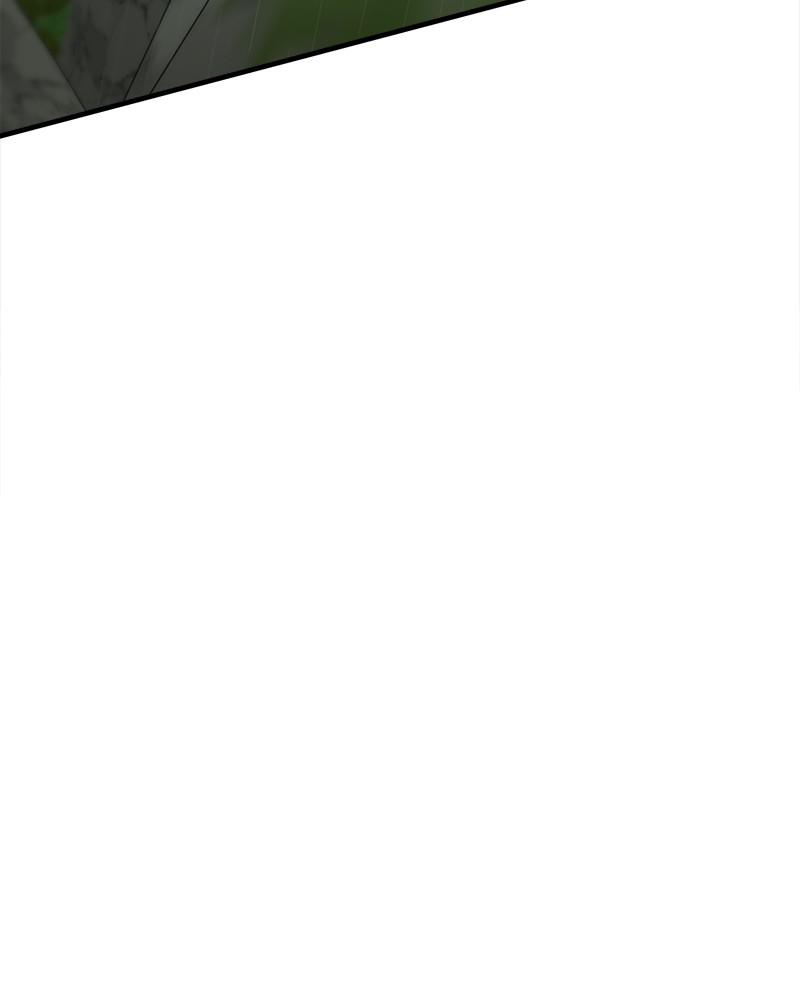 Page 251