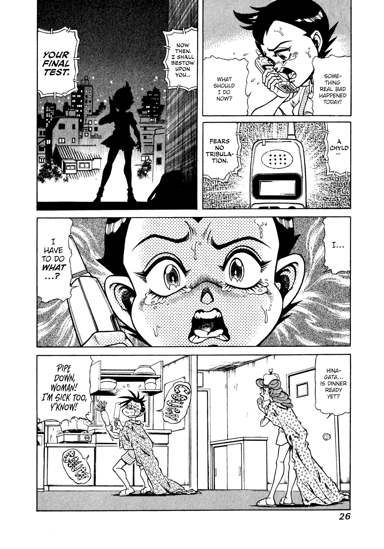 Page 26