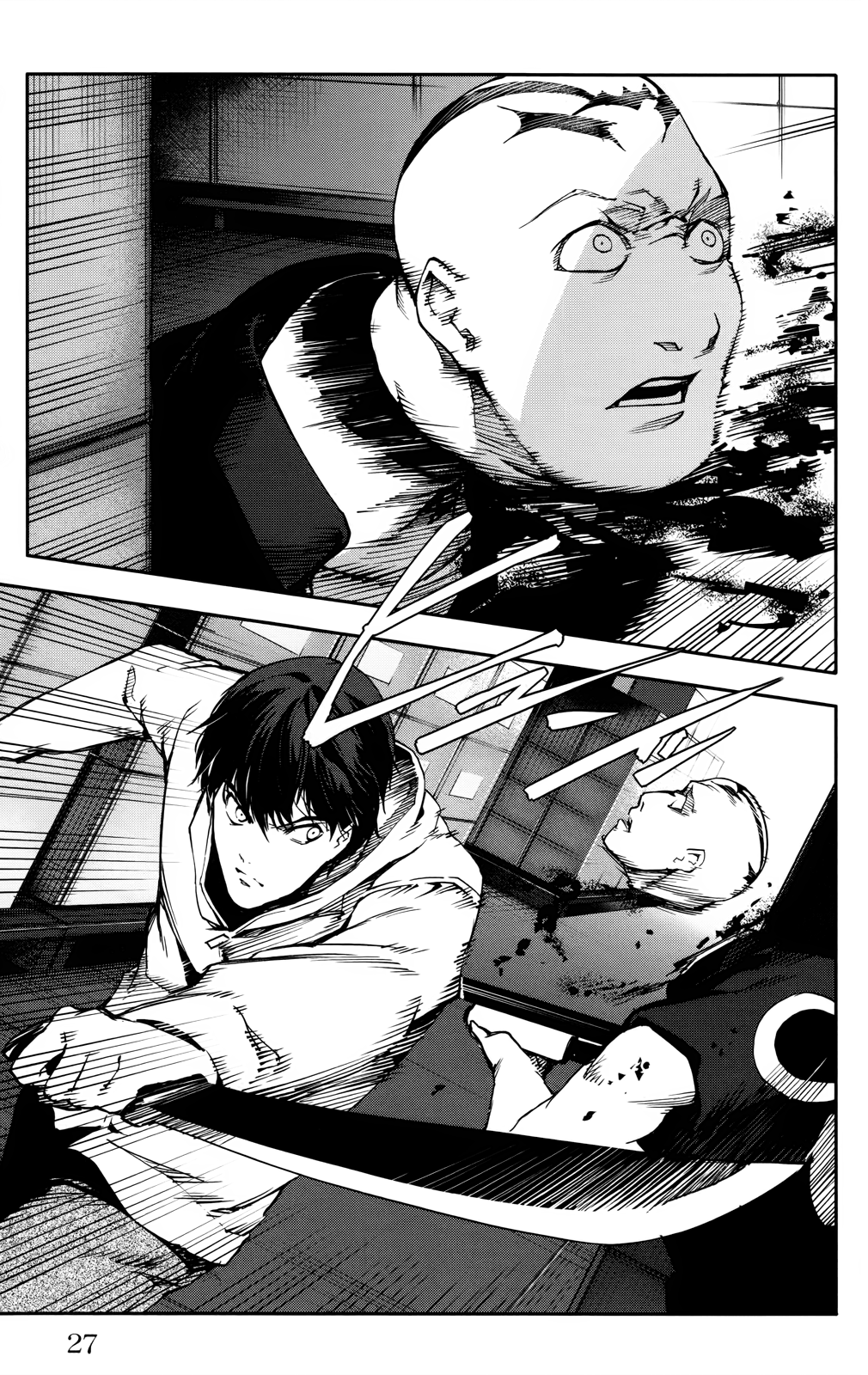 Page 27