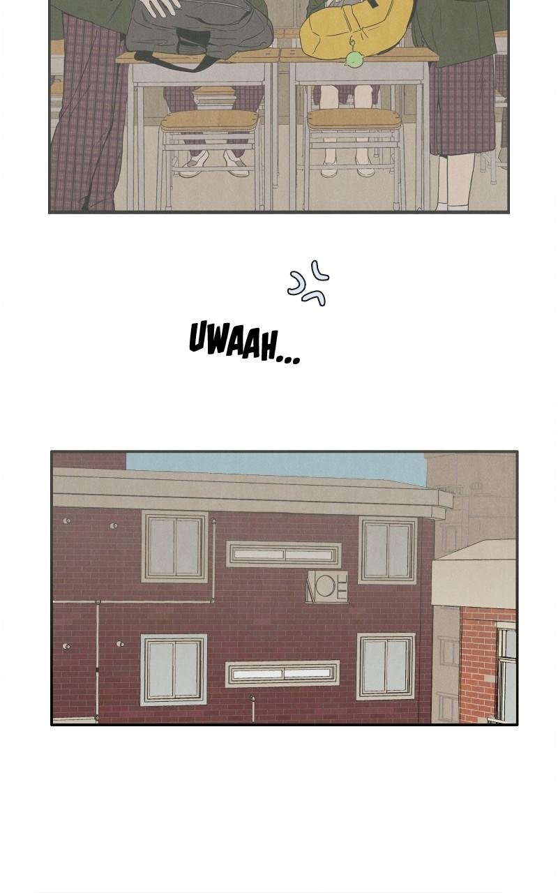Page 271