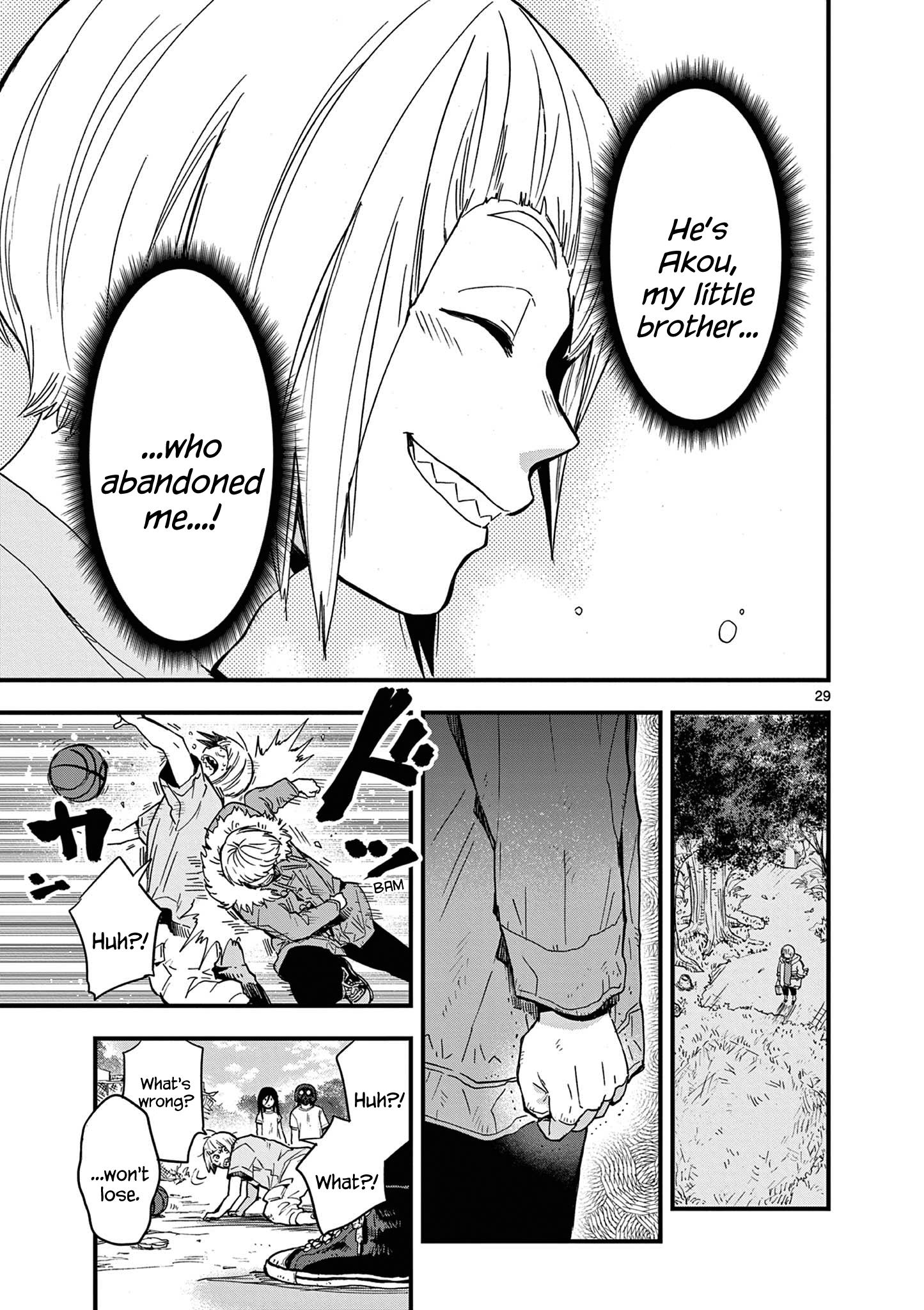 Page 29