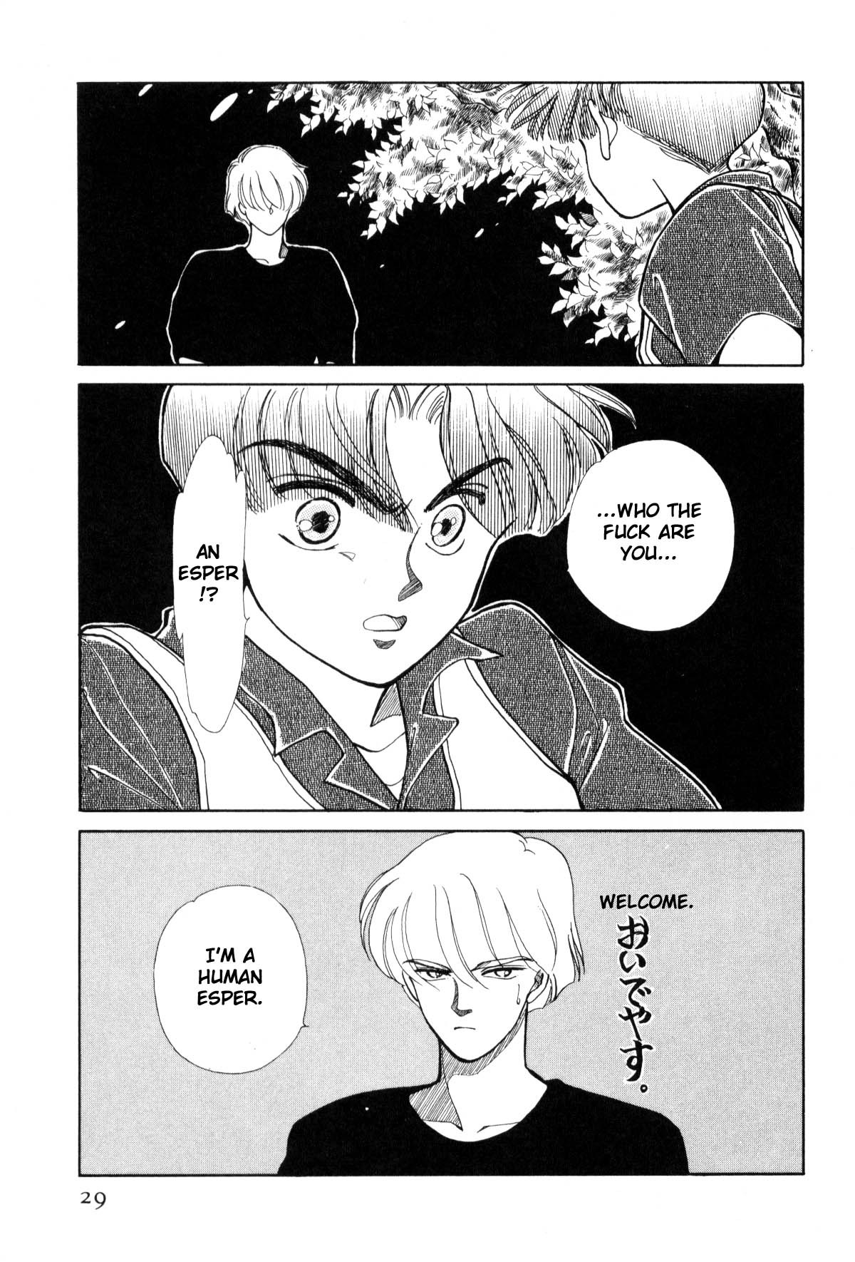 Page 29