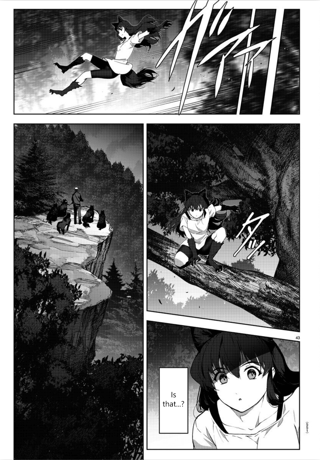 Page 43