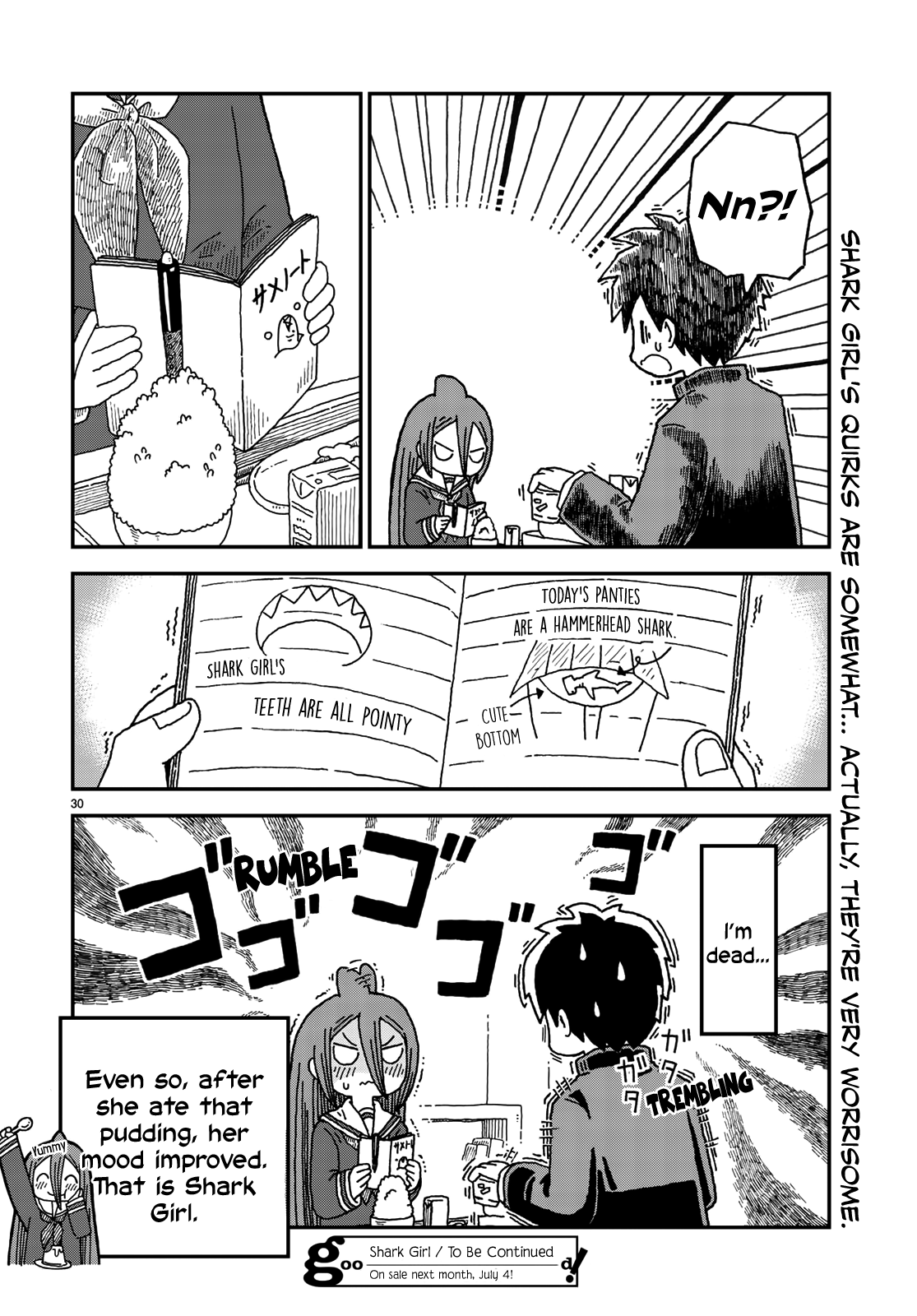 Page 30