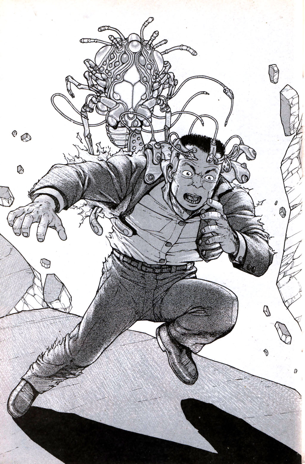 Page 30