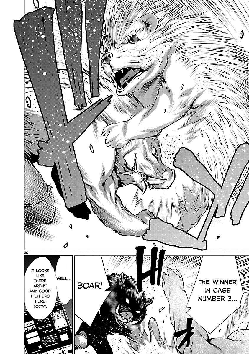 Page 36
