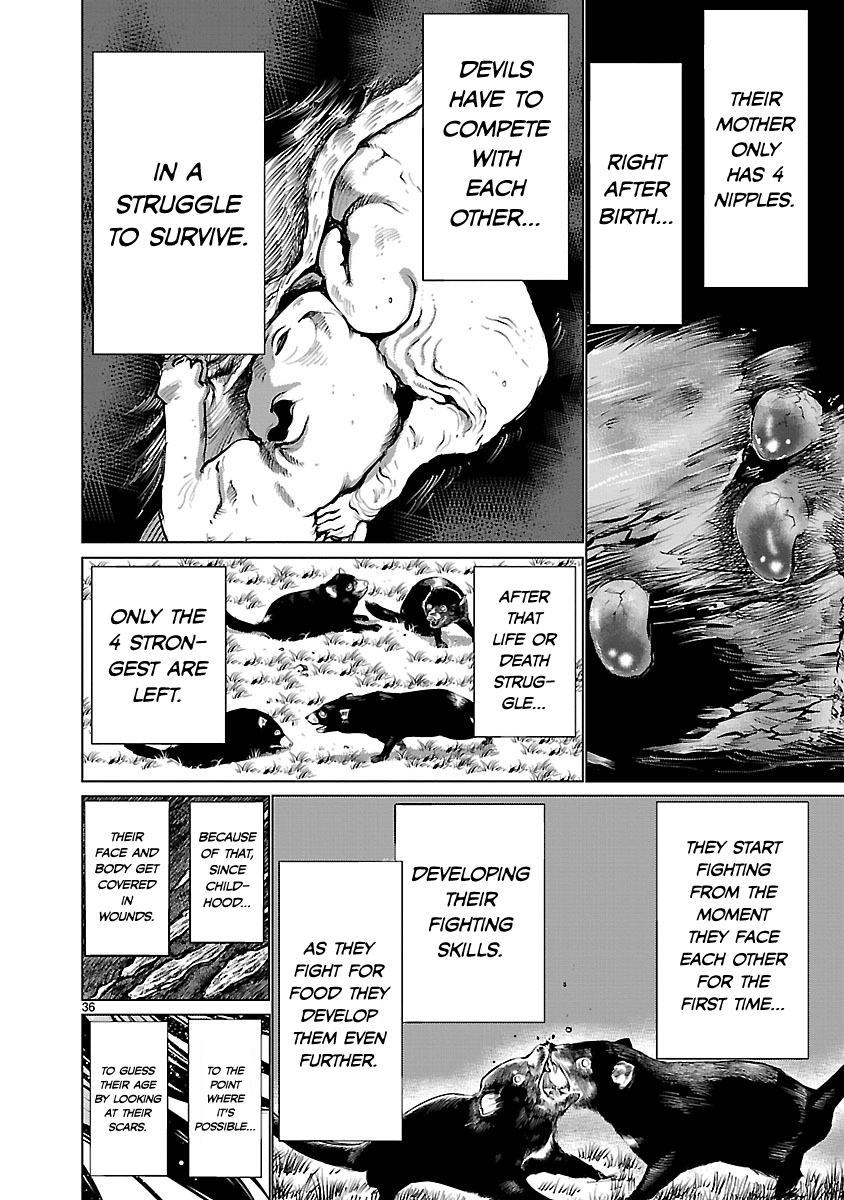 Page 36