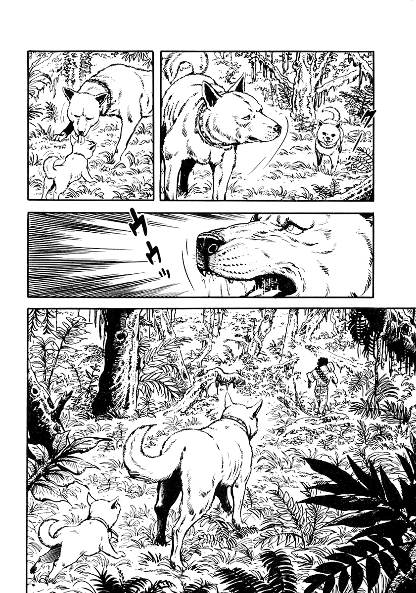 Page 41