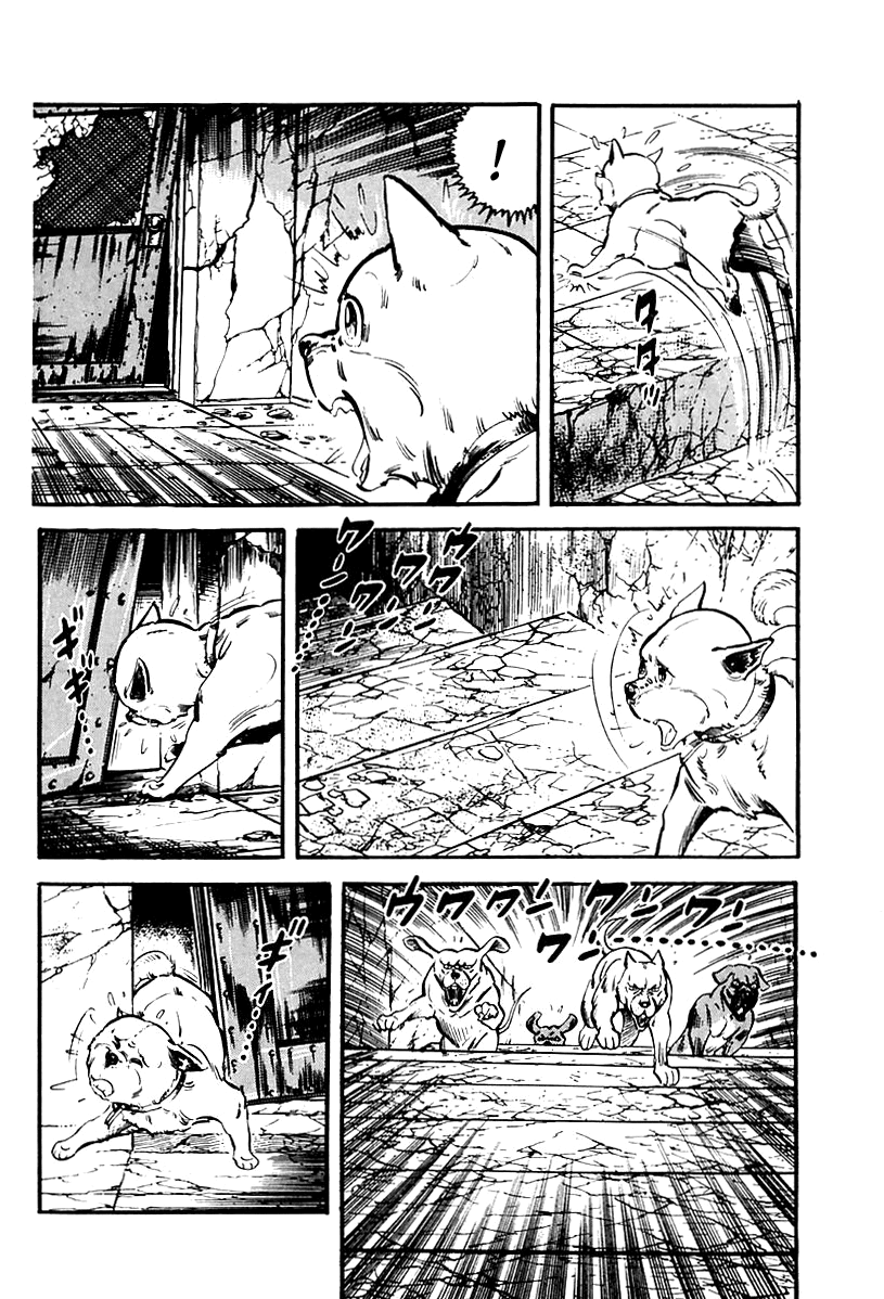 Page 41