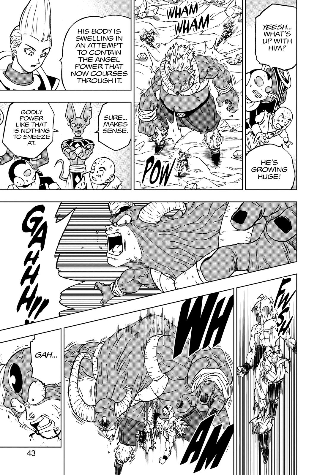 Page 43