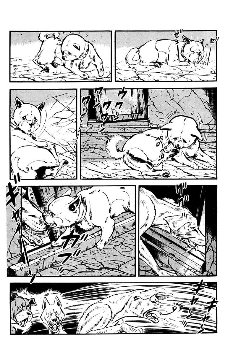 Page 43