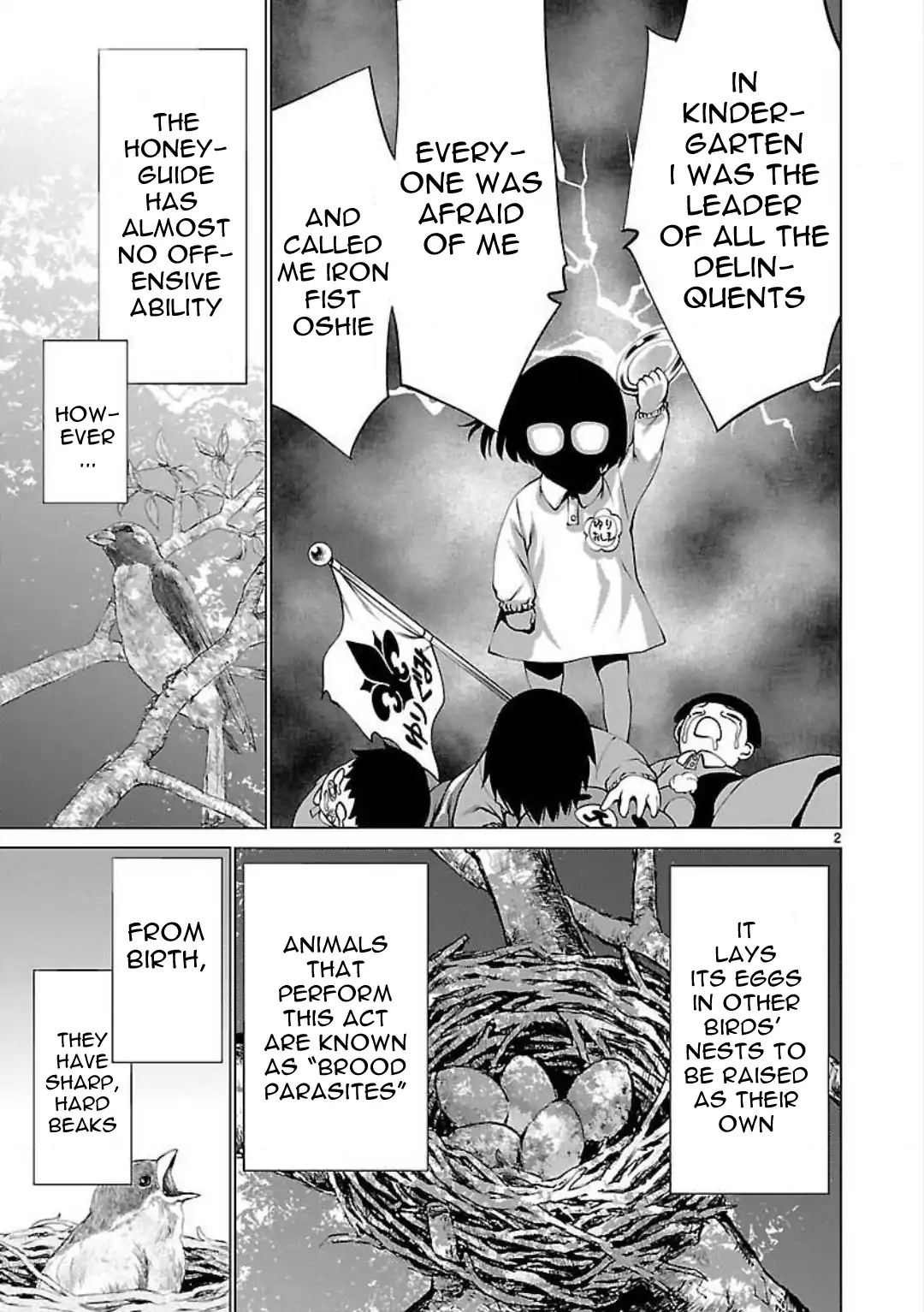 Page 43