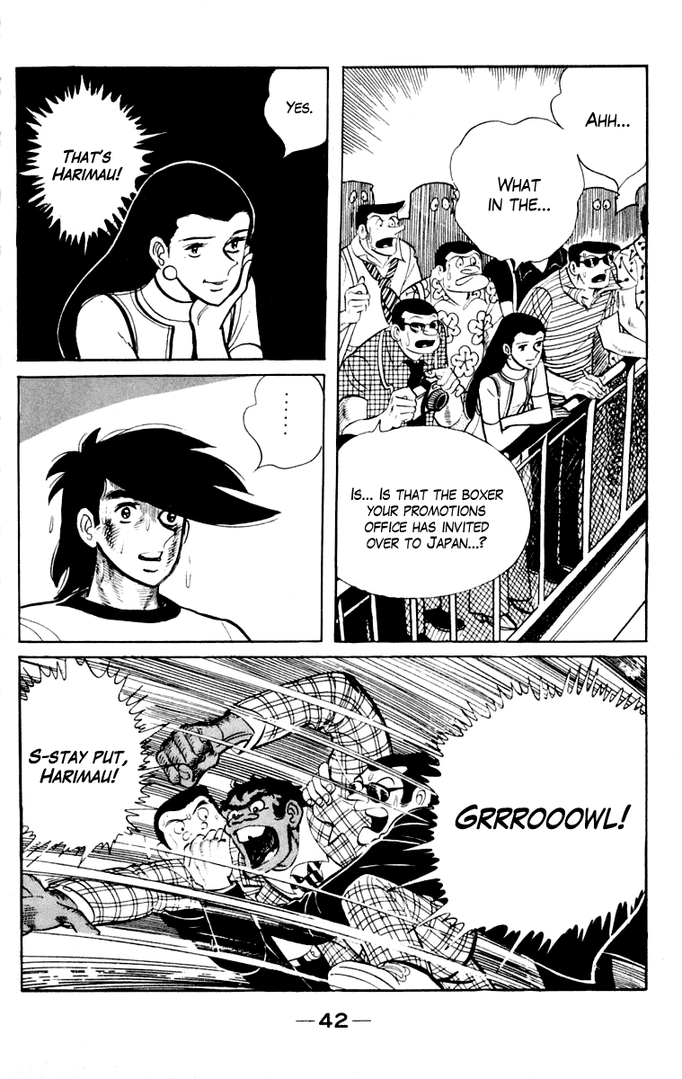 Page 43