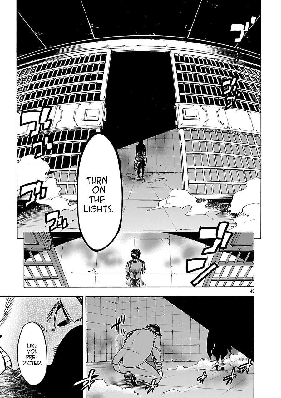 Page 43