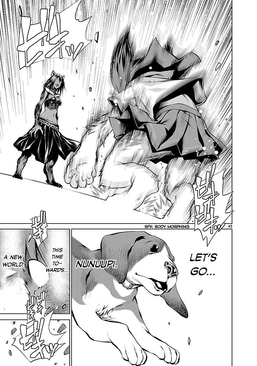 Page 43