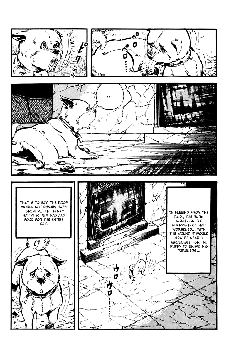 Page 49