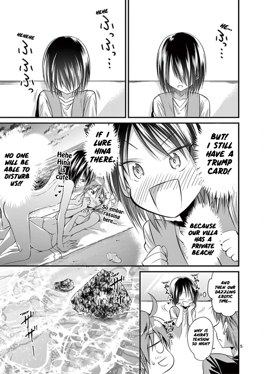 Page 5