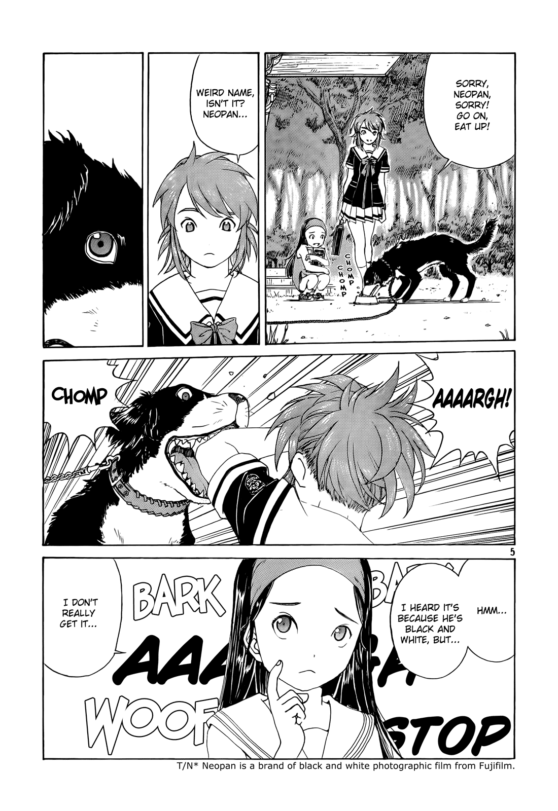 Page 5