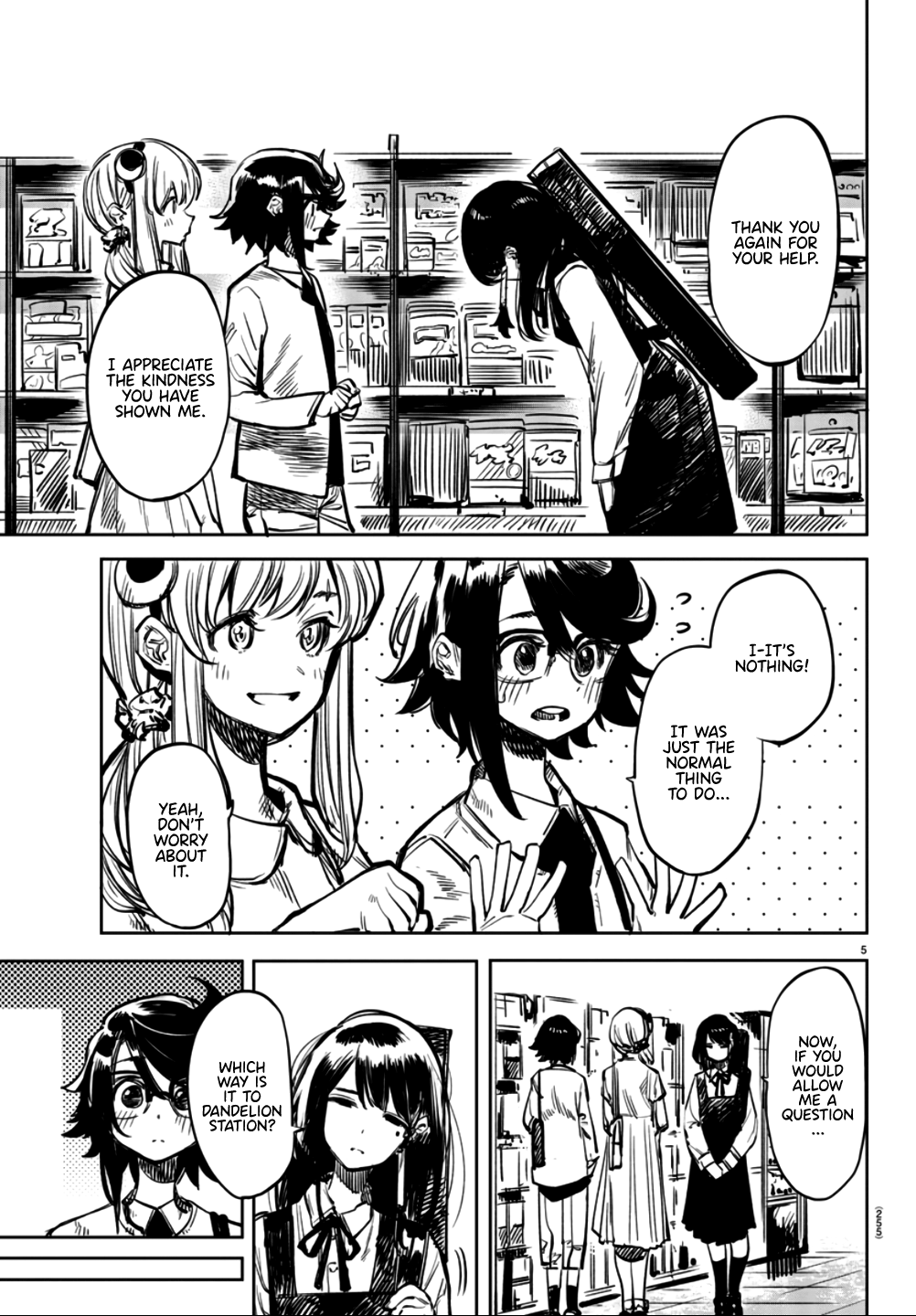 Page 5