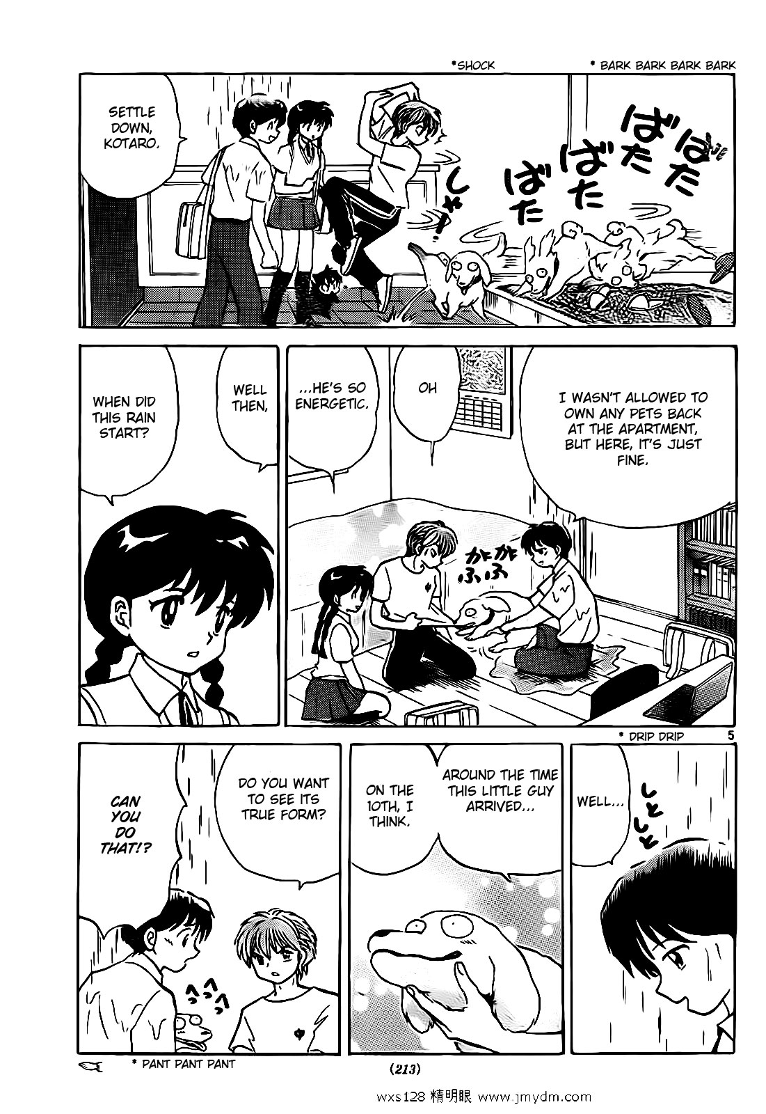 Page 5