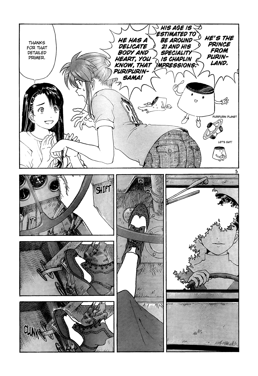 Page 5